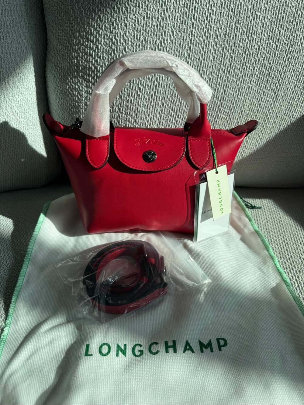 Le Pliage Extra XS bag